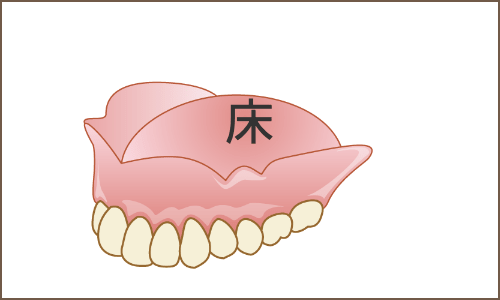 総入れ歯 床